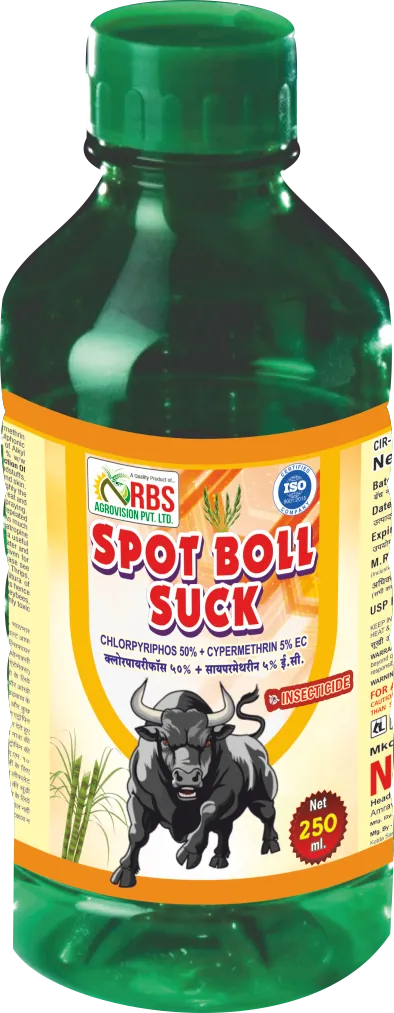 spot